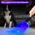WINDFIRE UV Flashlight 365nm Black Light Rechargeable Powerful