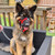 Dog Head Collar, for Large, XL and Giant Breeds, Red, Size 1