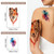 77 Sheets Temporary Tattoo, 17 Sheets Half Arm Flower Lion Tiger Cat Owl Parrot Fake Tattoos for Adults Shoulder Neck, 60 Sheets Tiny Waterproof Temporary Tattoos Realistic for Women Girls and Kids