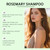 2PCS Rosemary Hair Growth Shampoo, Thickening & Strengthening Hair Shampoo with Hydrolyzed Keratin, Nourishing & Hydrating for All-Hair Types, 100ml