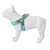 HUGO & HUDSON Easy Walk Dog Harness Adjustable No-Pull Step-in Training Vest, Aqua, Size 8