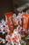 Bett'r No Added Sugar Wafers (Strawberry)