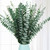 20 Pcs Preserved Dried Eucalyptus Stems, Eucalyptus Branches for Shower