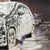 RIDGE WASHER Pressure Washer Undercarriage Cleaner, with Foam Cannon