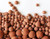 Hydro Clay Pebbles (Leca) Orchid/Hydroponic Grow Media - 10 lbs. (More Than 10 Liters) by PowerGrow Systems