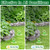 12 Pack Deer & Rabbit Repellent Balls, Natural Deer Rabbit Deterrent for Garden, Yard, Plants & Trees, Outdoor Scent Barrier for Flower Beds, Lawns and Landscapes
