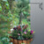Nodaaiie 16 Inch 2 Pack Swivel Plant Hanger, Heavy Duty Steel Outdoor Hanging Hook Bracket for Flower Pots, Bird Feeders, Wind Chimes, Baskets, Black