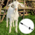 Lanties 1 Pcs 14" Curved Copper Bolus Gun Balling Gun for Sheep Goat