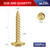 #8 x 1 Wood Screw 100Pcs Alloy Steel Standard Thread Truss Head Fast Self Tapping by SG TZH