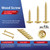 #8 x 1 Wood Screw 100Pcs Alloy Steel Standard Thread Truss Head Fast Self Tapping by SG TZH