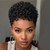 BeiSDWig Short Afro Kinky Curly Wig, Natural Black, Pixie Cut Style (Black)