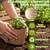 Karenhi 16 Pcs Peat Pots 6 Inch Biodegradable Organic Seed Starting Pots with Drainage Holes Round Nursery Plants for Vegetables, Herbs, Flowers Indoor Garden Germination