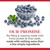 Duncan Hines Comstock Blueberry Pie Filling and Topping, 21 oz. (Pack of 8)