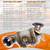 SleYuYir 674-854 16659 Catalytic Converter Kit Compatible with Chevy Cruze 2011 2012 2013 2014 2015 2016 Sonic 2012-2017 2018 2019 2020 Trax 2015-2021 Buick Encore 2013-2021 1.4L