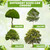 WILLBOND 10 x 12 Ft Huge Plant Covers Freeze Protection Frost Cloth with Zipper and Drawstring Shrub Jackets Extra Large Winter Tree Cover Frost Blanket Protection Bags for Outdoor Plants Bush (Beige)