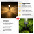 HMDecor 10-40 LM Solar Pathway Lights 3 Brightness Modes 8 Pack