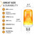 Hudson LED Halloween Bulbs - Flame Effect, 4‑Mode Upside Down & 3W Flicker - E26/E27 Orange Fire - 2‑Pack for Indoor/Outdoor - Flame Light