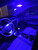 BRISHINE Blue LED Interior Light Kit for Toyota Tundra 2014 2015 2016 2017 2018 2019 2020 2021 Super Bright Interior LED Bulbs Package + Cargo Lights + License Plate Lights and Install Tool