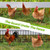 30Panels Garden Fence Animal Barrier, 13in(H) x 30ft(L) No Dig Fence for Dogs Rabbit, Rustproof Metal Fence Bottom Barrier for Dogs, Anti Digging Dog Blocker, Yard Garden Edging Border Fencing