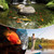 NFESOLAR 4W Solar Aerator for Pond with 2200mAh Battery, 3 Modes, 2 Stones