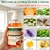 Persimmon Body Wash for Body Odor Control with Persimmon & Green Tea