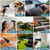 Amcortn Indoor Sink Hose Attachment for Kitchen Sink or Bathroom Sink Faucet - (50FT) Sink Hose with 7 Adapters, Watering Houseplants, Dog Washing, Household Cleaning, Car Washing, 10-Function Nozzle