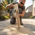 Rhino Power Bond Plus Polymeric Sand 10 lbs, Beige | Jointing Sand for Pavers & Natural Stone up to 2 inch Joints | Patio, Walkway, Driveway & Garden Path