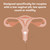 Frida Conception Aid Cup for Natural Pregnancy Support, Storage