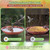 Bird Bath Bowl Outside, Large Bird Bath Bowl Replacement, Standing