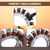 JDLLONG 59031-7007 59031-7010 59031-7015 Charging Coil Stator for Kawasaki FH641V FS600V FS651V FX481V FX801V FX850V FX921V FXT00V FS481V Stator Alternator with Ignition Coil Voltage Regulator
