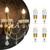 VIZBMYR 6 Pack Crystal Decorative LED Light Bulbs 5w, 40 Watt Equivalent, Fancy Unique Chandelier Light Bulbs E12 Base Non-dimmable,3000K Lightbulbs for Staircase,Bars,Ambience (FP-17A, 6PCS)