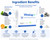 Vitrocap Capsules Pack of 90 Capsules