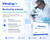 Vitrocap Capsules Pack of 90 Capsules