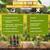 Nettle Leaf Tincture Drops - Fresh Plant Extract 100 Servings - Nettle Supplement 100% Nettle Extract - Highest Concentrate - UK Produced - GMDP Certified/Vegan/Non GMO