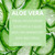Face Facts Hydrating Day Cream | Aloe Vera | 50ml