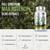 30,000MG Olive Leaf Extract Capsules 40% Oleuropein