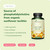 Vegavero Organic Lecithin Oil 1800 mg | Highly Dosed | Sourced from Sunflowers | 120 Capsules | NO Additives | Vegan | 15% Phosphatidylcholine