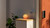 Yale - Doorbell Chime [NO SUBSCRIPTION REQUIRED] Indoor Chime - Selectable Ring Tones - Plug-in Installation - EU & UK Power Modules - Accessory Compatible Smart Video Doorbell