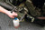 Laser 4385 Multi Purpose Mini Pump