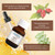 2PCS Cyperus Rotundus Oil,60ml Cyperus Oil for Hair Removal,Natural Cyperus Rotundus,Reduce Body Hair Growth,Cyprus Rotundus Oil Suitable for All Skin Types,With a Corner Board