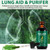 Mullein Leaf Extract Drops with Chlorophyll Support Lung Health, Daily Immune, Respiratory Health -60ml(2pcs)