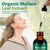 Mullein Leaf Extract Drops with Chlorophyll Support Lung Health, Daily Immune, Respiratory Health -60ml(2pcs)