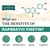 Liposomal Fisetin Supplement 1000mg with Quercetin 200mg | Non-GMO Sunflower Lecithin | 98% Standardised Fisetin | (60 Count (Pack of 1))