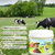Tallow & Honey Balm, Beef Tallow Face Moisturizer, with Grass-Fed Butter & Raw Wild Honey for Smooth, Hydrated Skin, Gentle Formula for Women, Face & Body Moisturizer -2.12 OZ