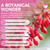 Premium Berberine Patch, Natural Plant-Based Formula