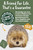 Living Nature Hedgehog Soft Toy | Fluffy Animal | Soft Toy Gift for Kids | 23 cm