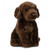 Living Nature Chocolate Labrador Soft Toy – 20cm Brown Realistic Cuddly Dog Plush – Stuffed Animal Gift for Kids & Dog Lovers