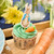 Anniversary House Official Beatrix Potter™ Peter Rabbit™ Cupcake Cases for Baking, Pack of 75, Peter Rabbit Party Decorations, Muffin Cake Cases for Christening, Birthday, Baby Shower, J129