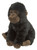 WILD REPUBLIC 16613 Gorilla Baby Plush, Cuddlekins Cuddly Soft Toys, Kids Gifts 20 cm, multicolor