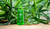 Calypso Aftersun Aloe Vera Gel - 250ml